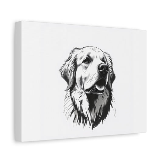 Elegant Black & White Golden Retriever Matte Canvas - Stretched 1.25